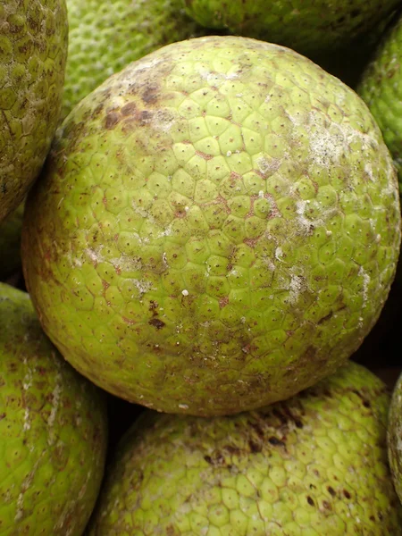 Breadfruits yığını — Stok fotoğraf