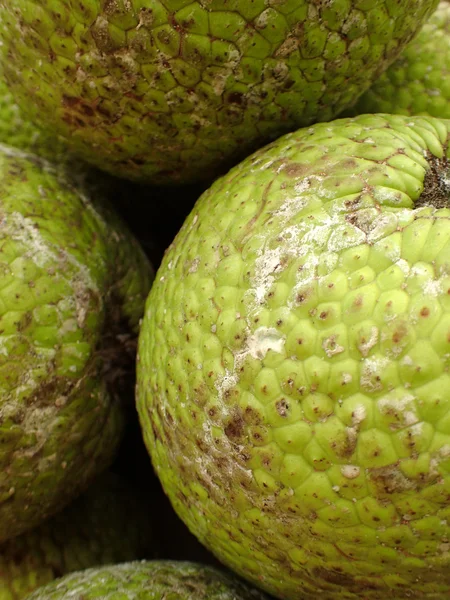 Σωρός από Breadfruits — Φωτογραφία Αρχείου