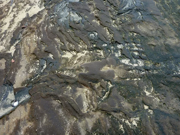 Roca de lava agrietada con trozos de arena y charcos de wat — Foto de Stock