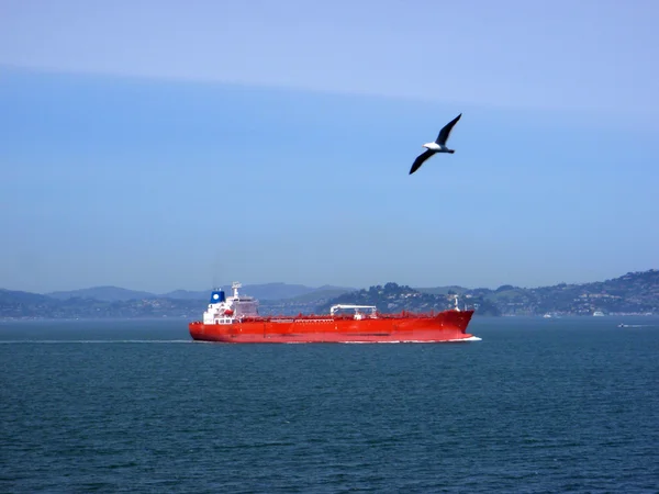 Cargo Boat sails through San Francisco Bay as Western Sea Gull f — Stockfoto