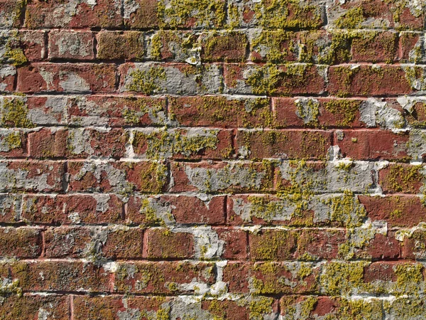 Old worn red brick wall with moss — Stock Photo, Image