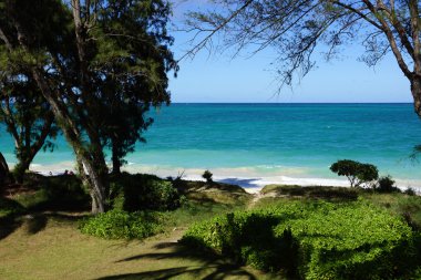 Waimanalo Beach Plajı'na giden yolları ile