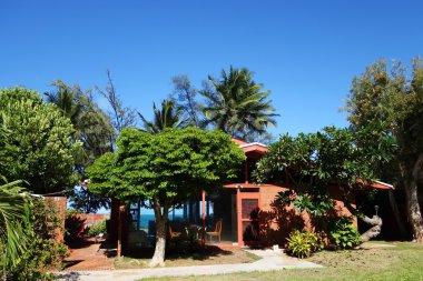 Red Waimanalo Beach House ile güzel bir gün bahçede