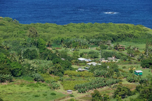 Aerial View of Small ocean side farm community — Stock Photo, Image