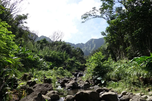 He'eia Stream con Koolau Mountain Range in lontananza — Foto Stock