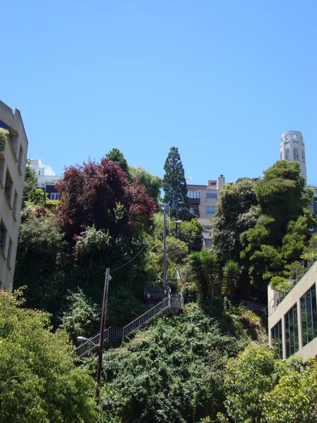 Staircase up Telegraph Hill leading up to Coit Tower — Stock Photo, Image