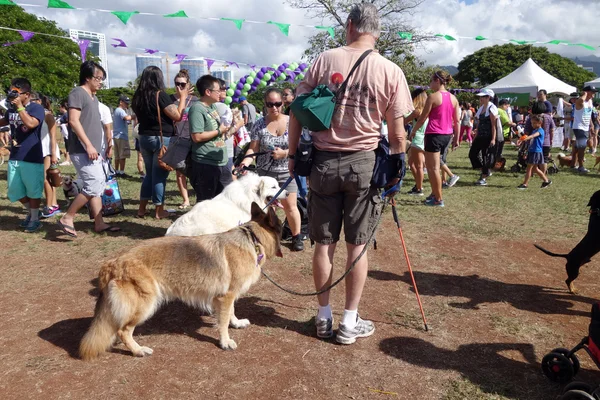 Honolulu Hayvan Yürüyüşü 2014, insanlar ve köpekler Ala Moa 'daki standı keşfediyor. — Stok fotoğraf