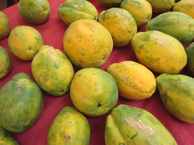Hawaii büyük parçalanma papaya kırmızı kumaş üzerine satırları