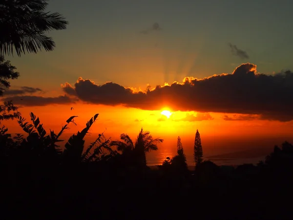 Atardecer pasado silueta tropical de árboles a través de las nubes sobre — Foto de Stock