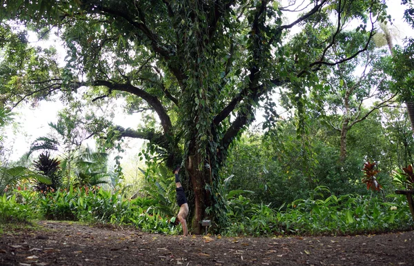 Чоловік обіймає перед сторічним манговим деревом — стокове фото