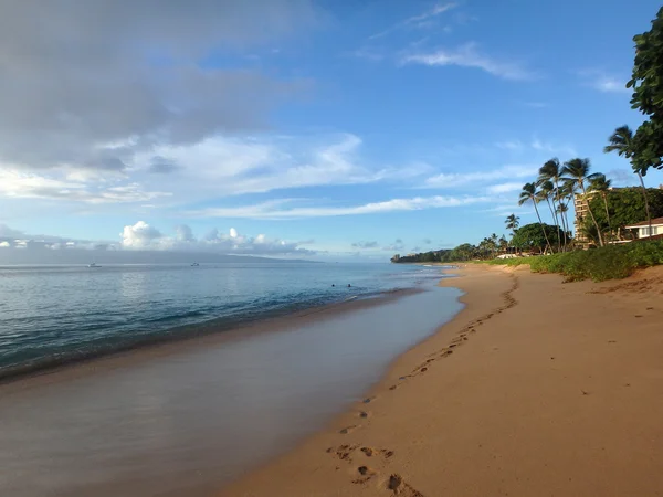 Plaży Kaanapali o zmierzchu z drzew i werandą na odległość — Zdjęcie stockowe