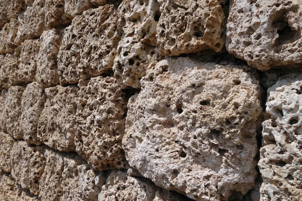 Antiguo muro de roca de coral — Foto de Stock