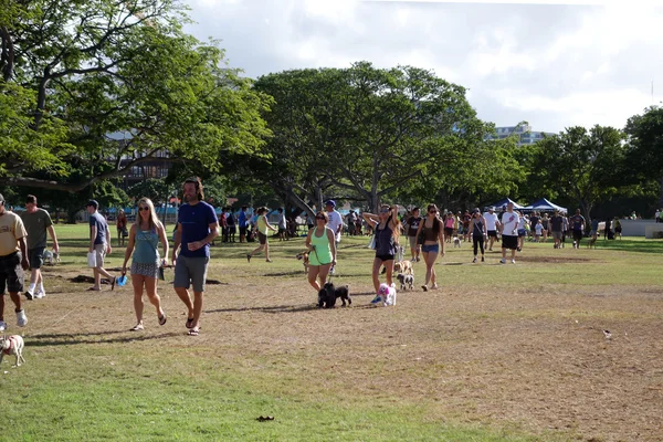 Mensen en honden lopen over veld op Ala Moana Beach Park — Stockfoto