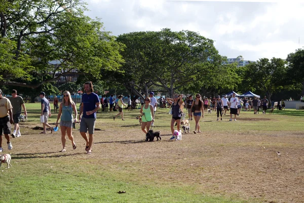 Ala Moana 해변 공원에서 들판을 가로질러 걸어 사람과 개 — 스톡 사진