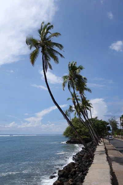 Palmy kokosowe linii chodnika i samochód jechal drogi wzdłuż skały — Zdjęcie stockowe