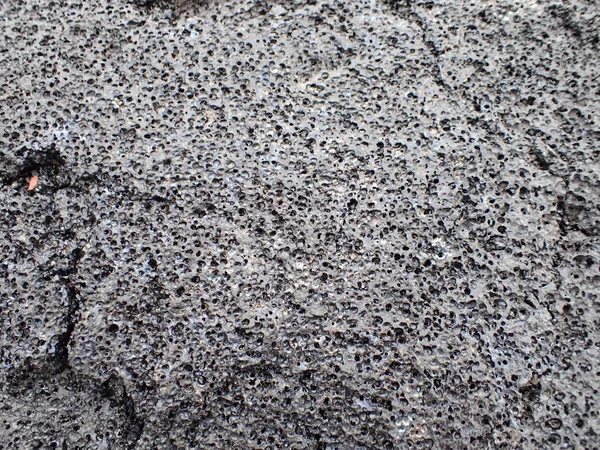 Lava rock close-up — Stockfoto