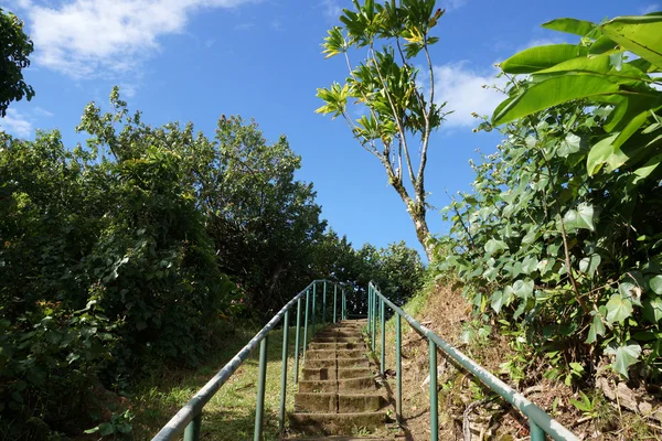 Steintreppe mit Metallgeländer hinauf zum Aussichtspunkt — Stockfoto