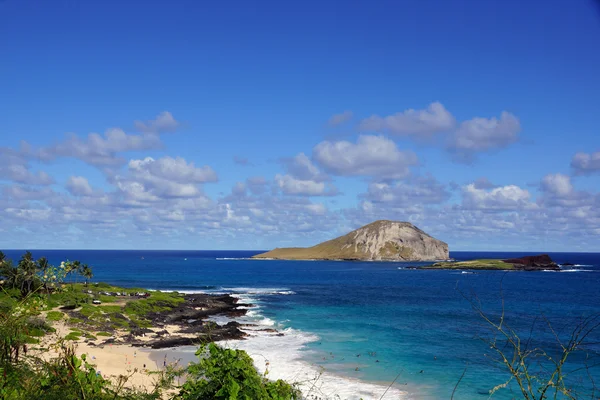 Makapuu beach with people in the water, and Rabbit and Rock Isla — Stock Photo, Image
