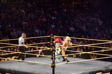 NXT kadın güreşçiler charlotte yetenek ve sasha bankalar içinde collide 