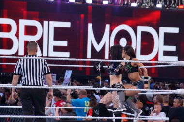 Tag takım ortakları Diva'nın Aj Lee ile Paige halka ipler üzerinde durur