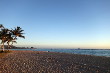 İnsanlar Ala Moana Beach Park'ta gece karanlığında takılmak