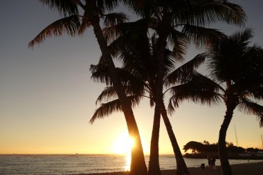 Ala Moana Beach Park'ta Okyanusu günbatımı