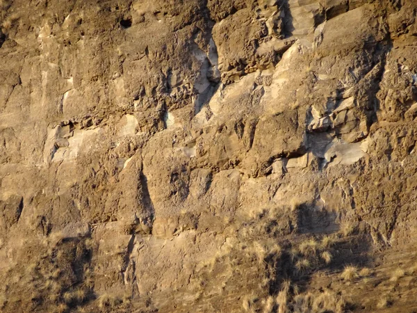 Diamond head kráteru hory close-up — Stock fotografie