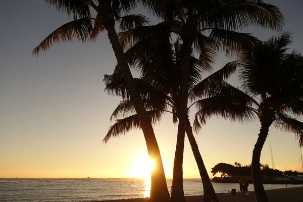 Sunset over the ocean at Ala Moana Beach Park — Stock Photo, Image