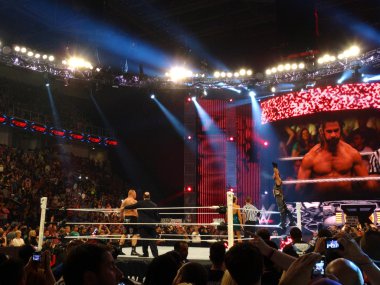 Champion Seth Rollins raises  hands into air as he stands on tur