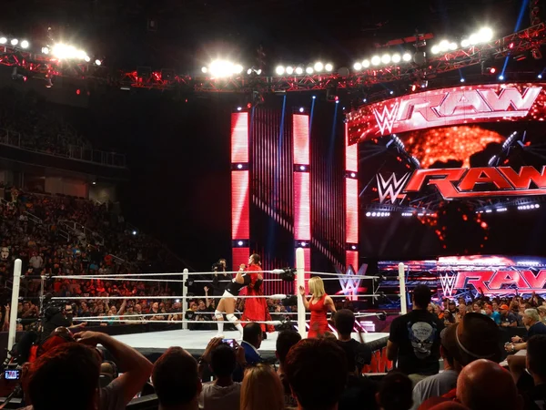 WWE Superstar Sting gives wrestler Bo Dallas scorpion death drop — Stock Photo, Image