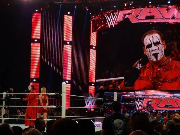WWE Superstar Sting hold mic and talks to crowd during interview — ストック写真