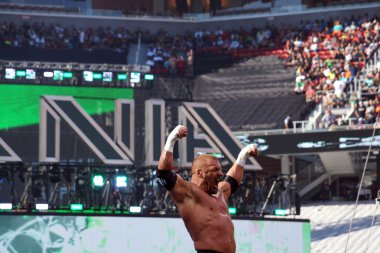 Triple H lifts arms in the air as he stands on top of turnbuckle