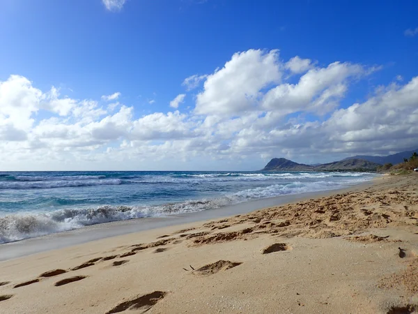 Modor strand strand, Hawaii — Stock Fotó