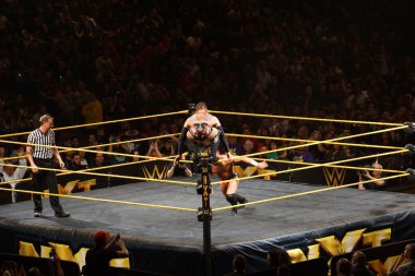 NXT male wrestler Finn Balor squats on top of ring ropes as Adri clipart