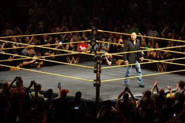 WWE süperstar efsane Triple H gülümser bir sırıtış o haliyle