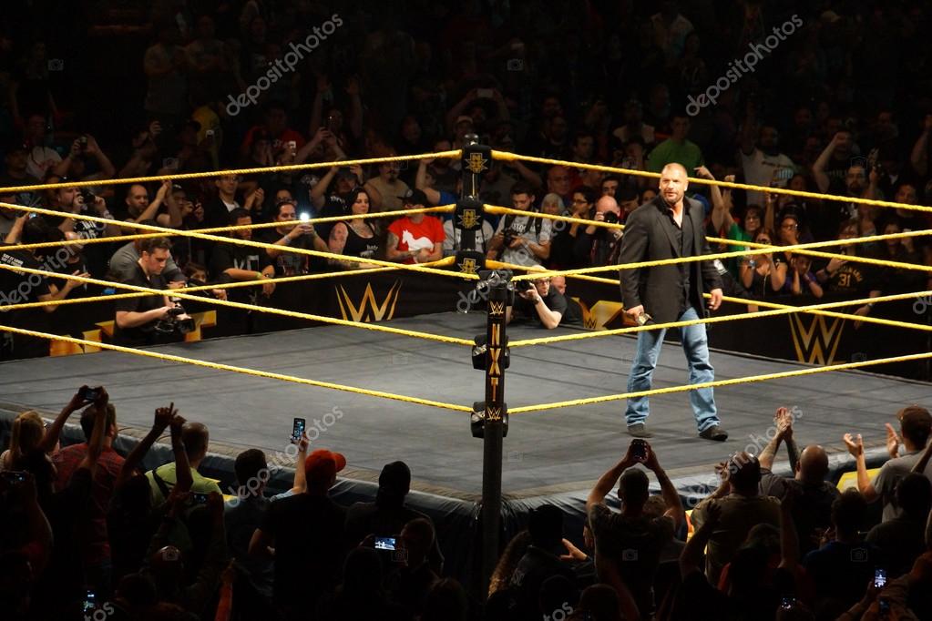 SAN JOSE - MARCH 27: WWE Superstar Legend Triple H smiles a smirk as he stands in the ring at the San Jose Event Center in San Jose, California on March 27, 2015.