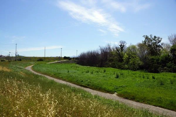 Coyote Creek μονοπάτι — Φωτογραφία Αρχείου