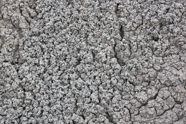 Texture abstraite de saleté blanche sèche fissurée — Photo