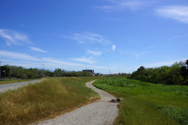 Coyote Creek μονοπάτι — Φωτογραφία Αρχείου