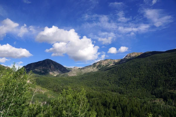 Montagnes verdoyantes de l'indépendance Pass, Colorado — Photo