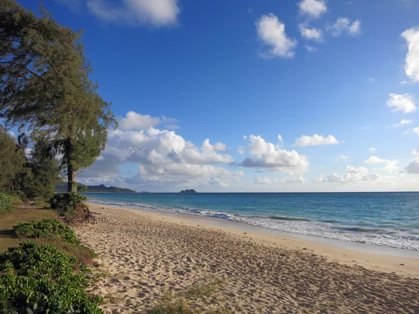 Waimanalo beach op zoek naar de mokulua eilanden — Stockfoto