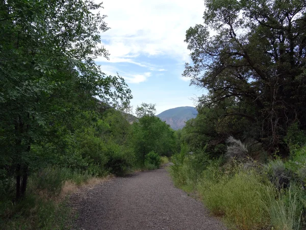 Sendero de grava en el bosque que conduce a las montañas —  Fotos de Stock