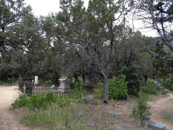 Tombstones in overgrown Graveyard with fences and trees in the m — Stock Photo, Image