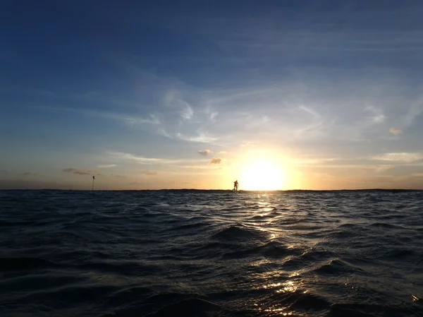 Paddle boarder paddling into the sun — Stock Photo, Image