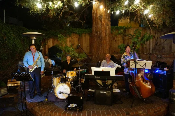 Jazz band plays under lighted tree — Zdjęcie stockowe
