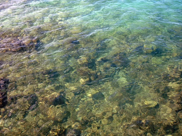 Ondas de agua superficial con coral debajo Fotos de stock