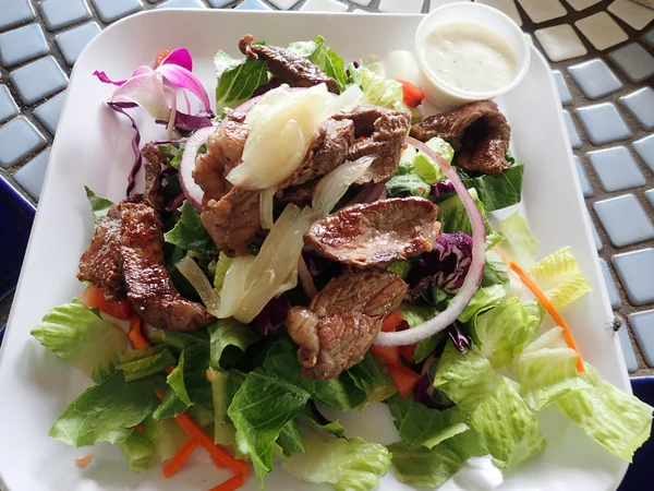 Fresh Steak Salad — Stock Photo, Image