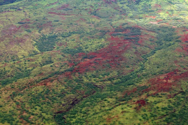 AERIAL-uttaget på grönskande vegetation på röda bergen — Stockfoto