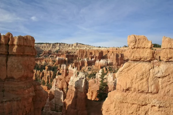 Bryce Canyon Nationaal Park, Utah — Stockfoto