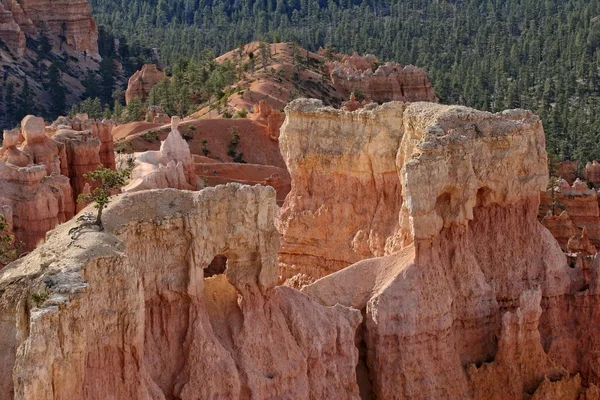 Parco nazionale del Bryce Canyon, Utah — Foto Stock